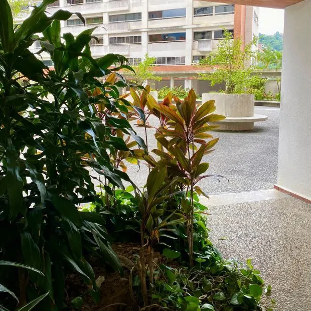 Apartamento en Lomas del Ávila – foto 6