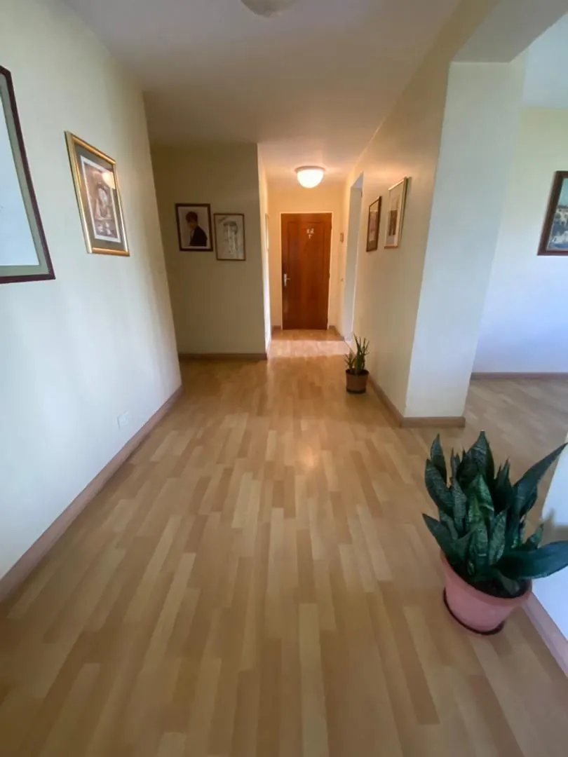 Apartamento amoblado en Vizcaya – foto 7