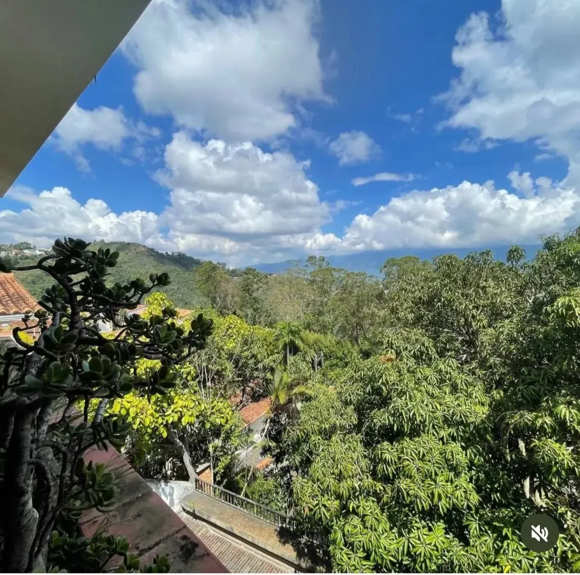 Casa en Los Naranjos - El Cafetal – foto 3